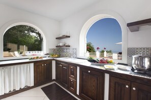 Fridge, microwave, oven, stovetop - Villa Trionfo & Spa by MyVillaCollection (Massa Lubrense)