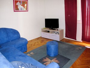 Fernseher