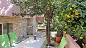 Eine Terrasse mit Tisch und Stühlen, einem Blumentopf und einem Zitronenbaum.
