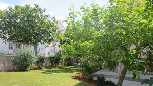 A well-maintained garden with a variety of trees and shrubs, a paved pathway, and a white building with a red roof in the background.
