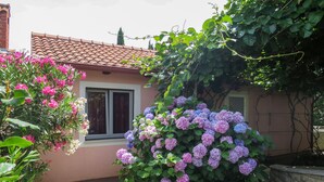 A house with a tiled roof, a window, and a garden with hydrangea bushes.