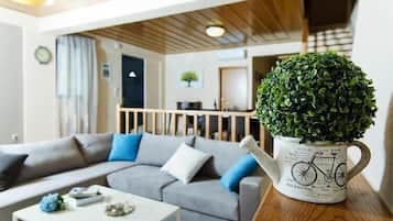 Smart TV, fireplace, DVD player