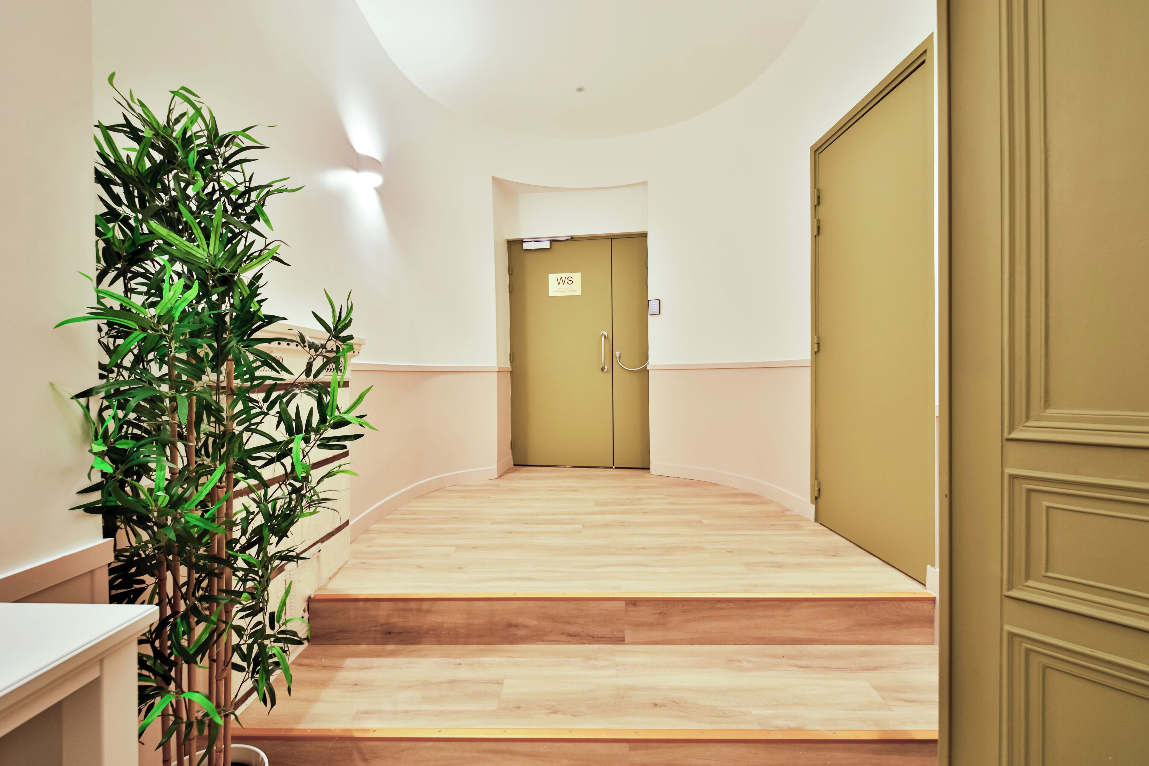 Un couloir avec un plancher en bois, une porte verte portant l’inscription « WS », et une plante en bambou sur la gauche.