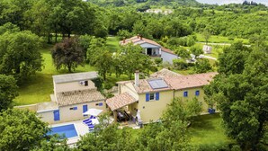 A villa with a swimming pool, surrounded by lush greenery and a hill with a tower in the background. - Vacation home Mariva by Interhome (Pićan)