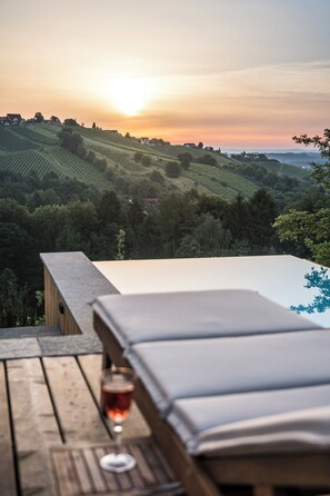 Chalet de lujo, alberca privada, vista al viñedo | Vista desde la habitación