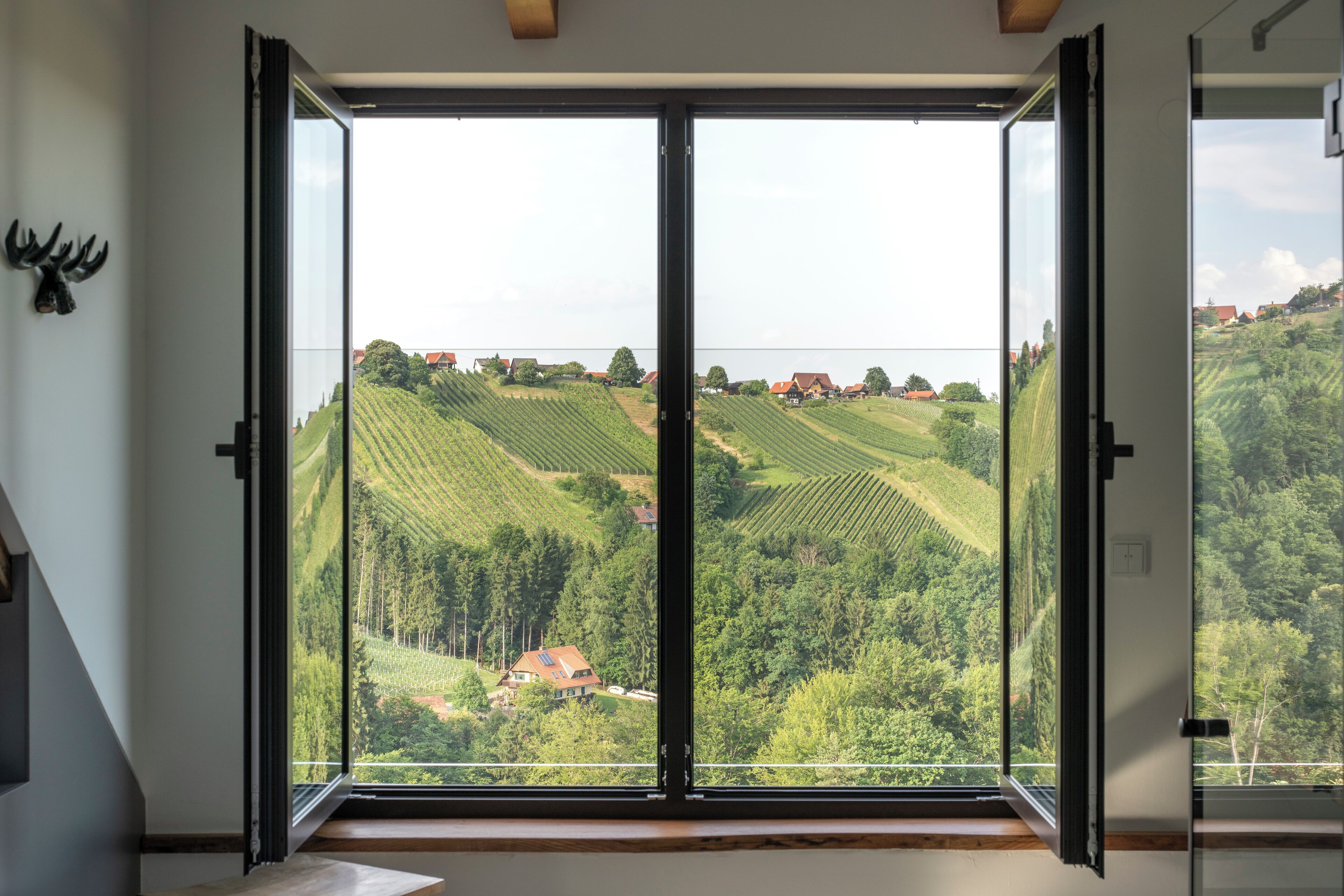 Luxury Chalet, Private Pool, Vineyard View | View from room