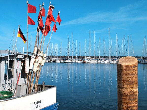 Marina
