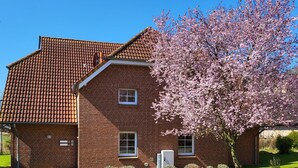 Een gebouw van baksteen met een pannendak, een klein raam en een boom met roze bloemen.