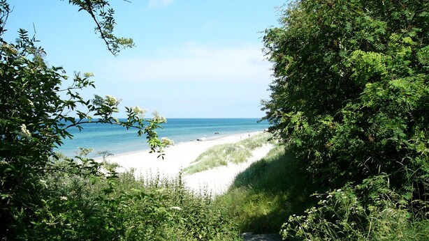 En sti der fører til en strand med hvidt sand og klart, blåt vand.
