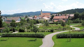 Un pueblo rural con un camino serpenteante, campos verdes y casas tradicionales.