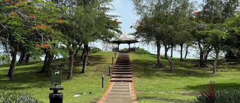 施設の敷地