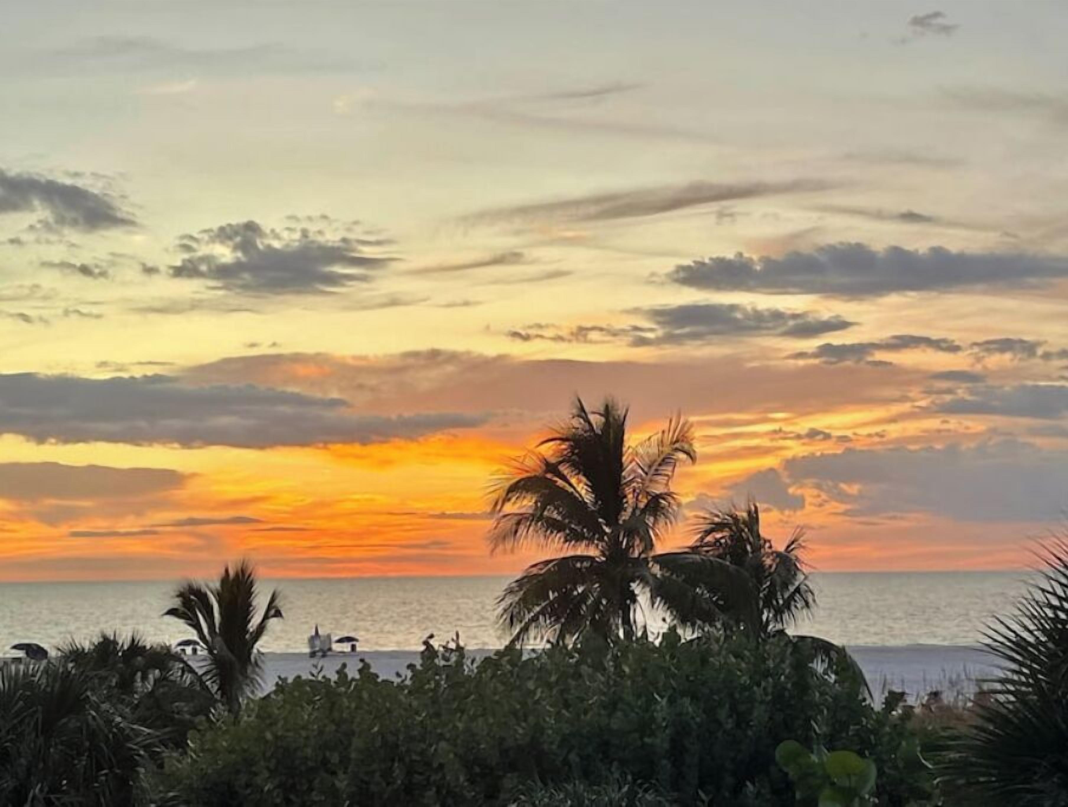 A sunset view with palm trees and a beach.