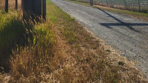 Un camino rural con un poste de madera marcado "2508" y un granero a lo lejos.
