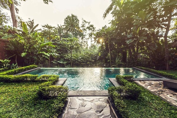 Pool - Jungle Villa - Two Bedroom Villa, Sleeps 4 (Sayan)