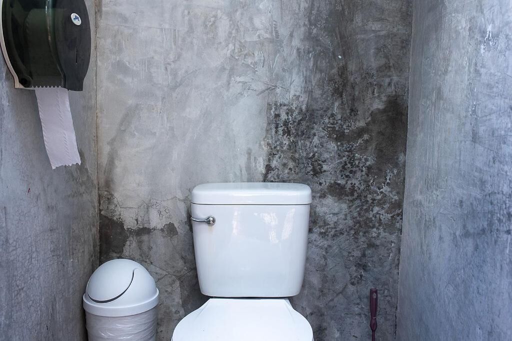 Photo - Mapache Hostel