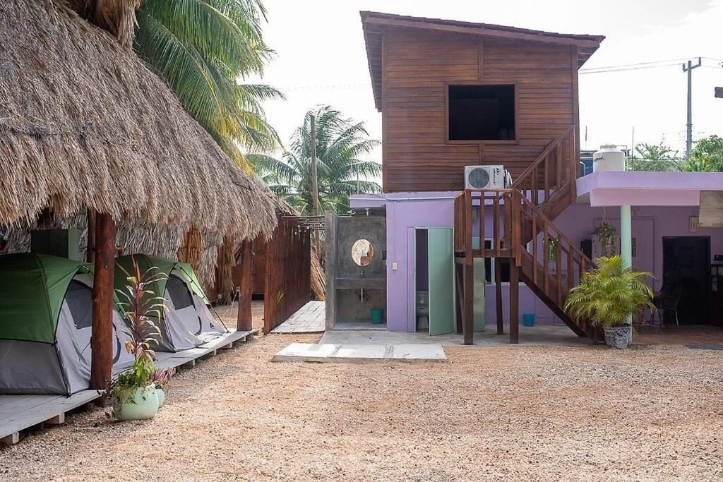 Photo - Mapache Hostel