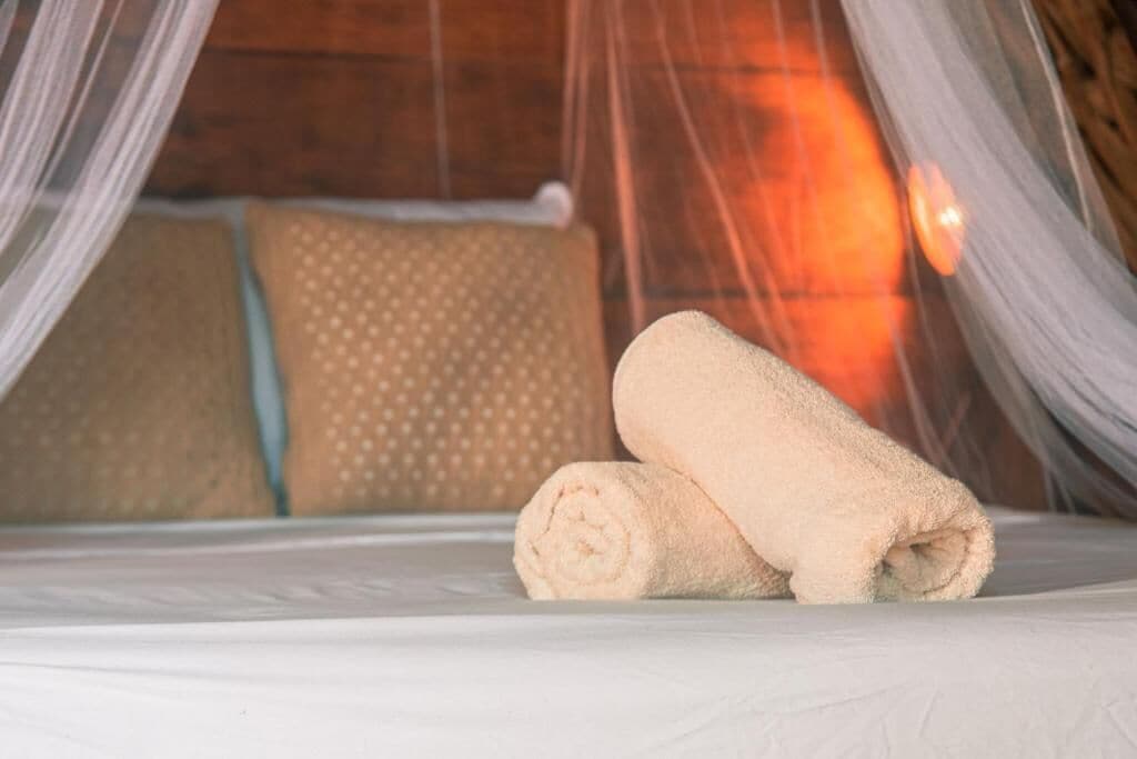 Photo - Mapache Hostel