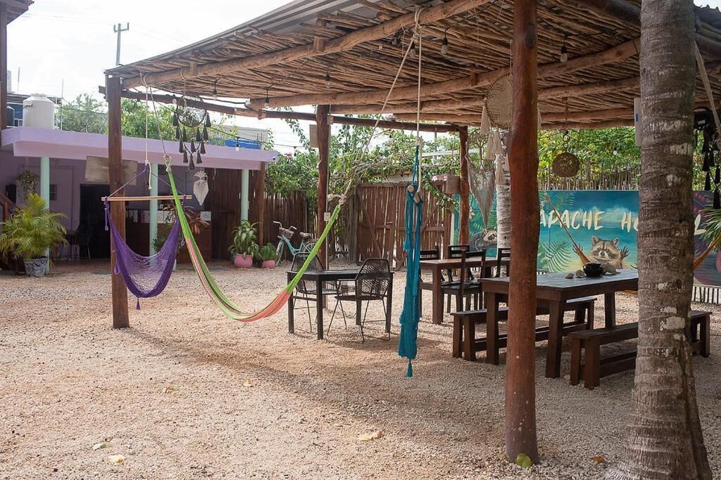 Photo - Mapache Hostel