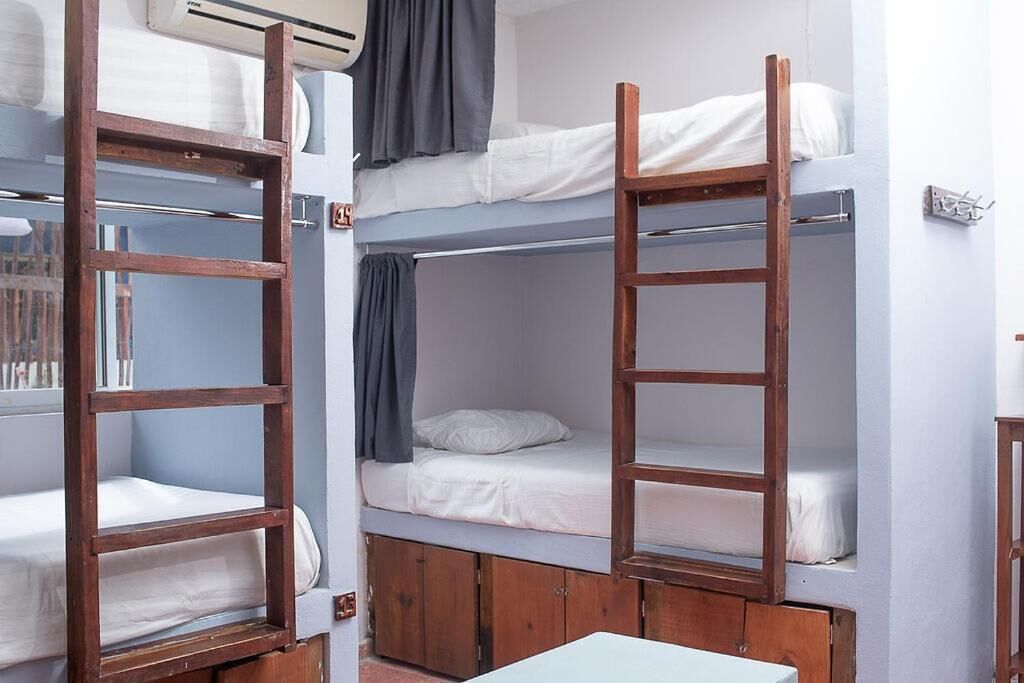 Photo - Mapache Hostel