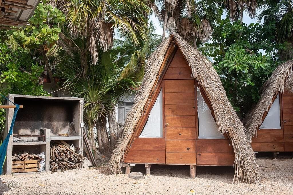 Photo - Mapache Hostel