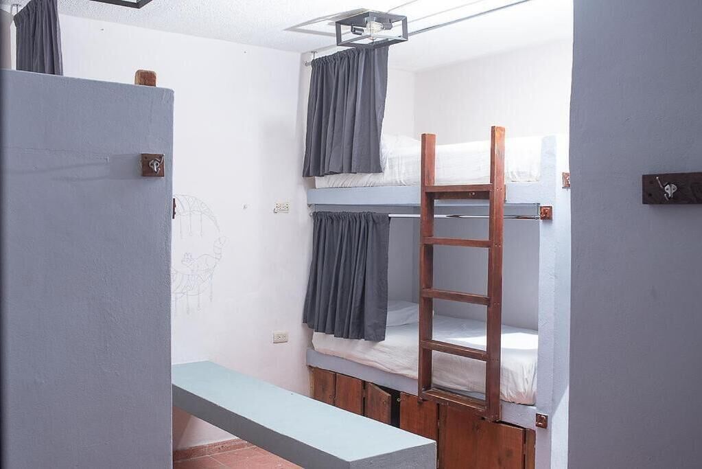 Photo - Mapache Hostel