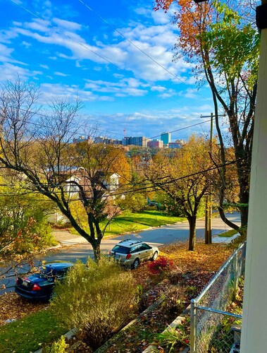 Cute Retreat in wonderful Ann Arbor, walkable to Downtown 