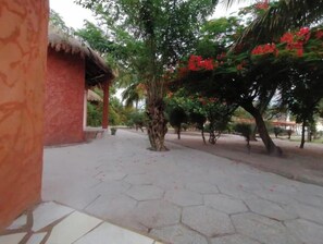 Property grounds - Nanaay Palmarin (Palmarin)