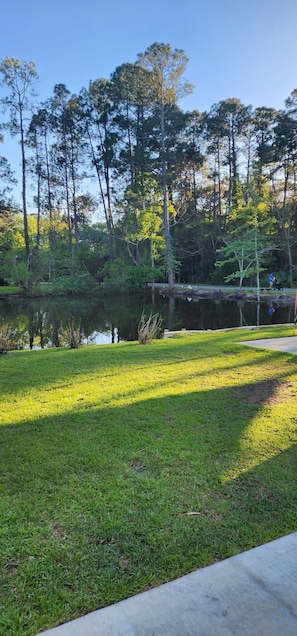 Terrain de lâhĂ©bergement