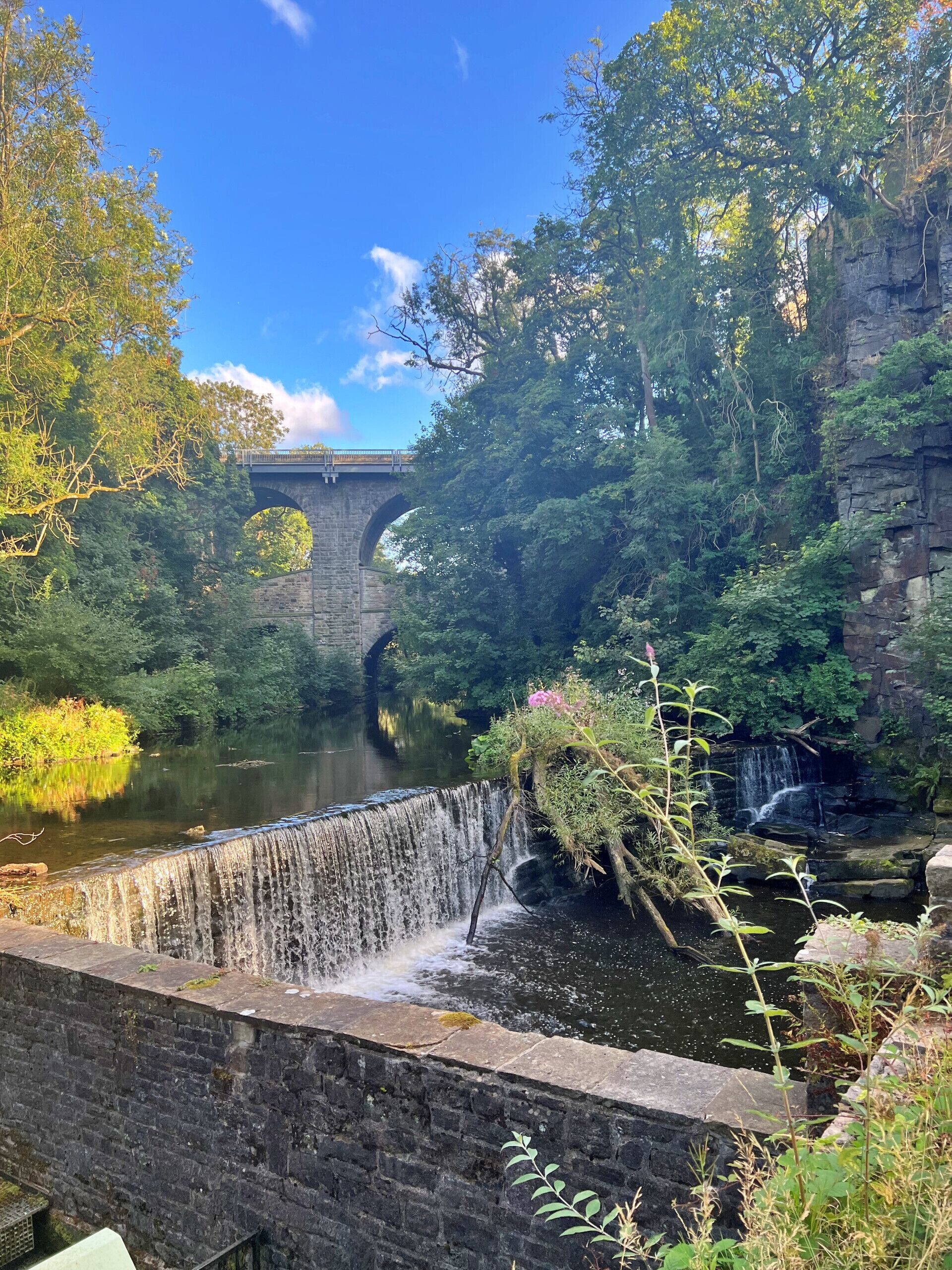Eine Stegenbrücke über einem Fluss, umgeben von üppiger Vegetation und einem kleinen Wasserfall.