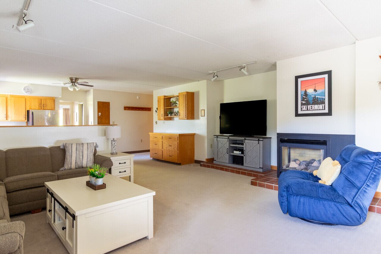 Smart TV, fireplace, DVD player, books