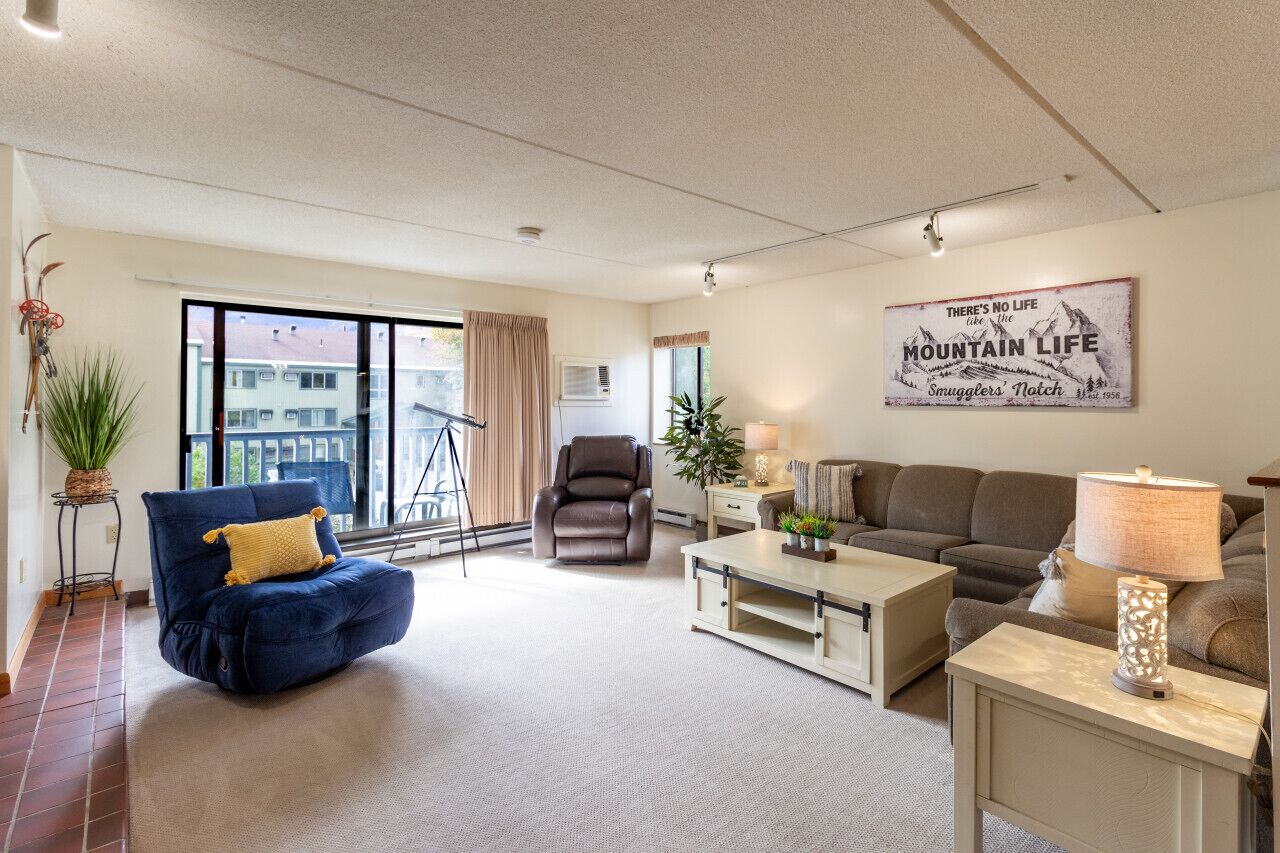 Smart TV, fireplace, DVD player, books