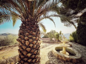 Villa | Property grounds - Casa Abubilla - Sunny Spanish Villa Top of Competa (Còmpeta)