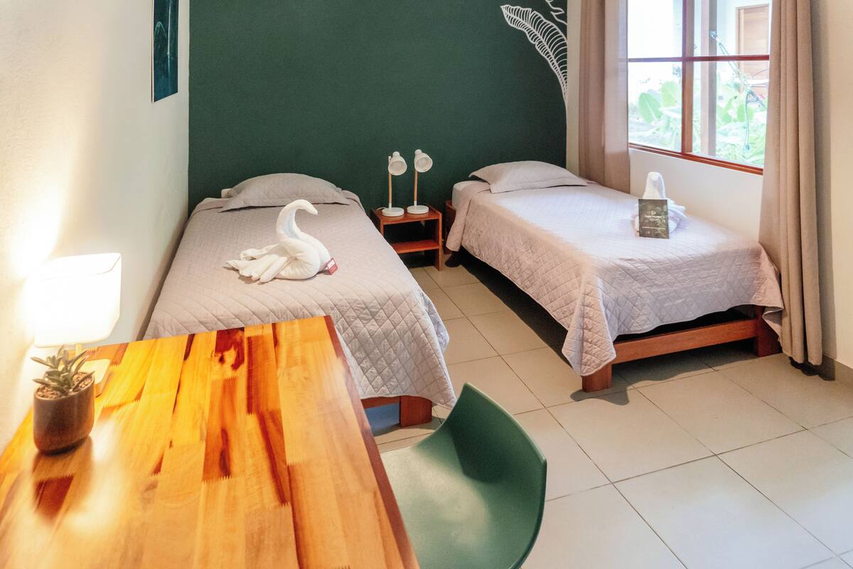A hotel room with two beds, a wooden table, a green chair, a small plant, and a window with curtains.