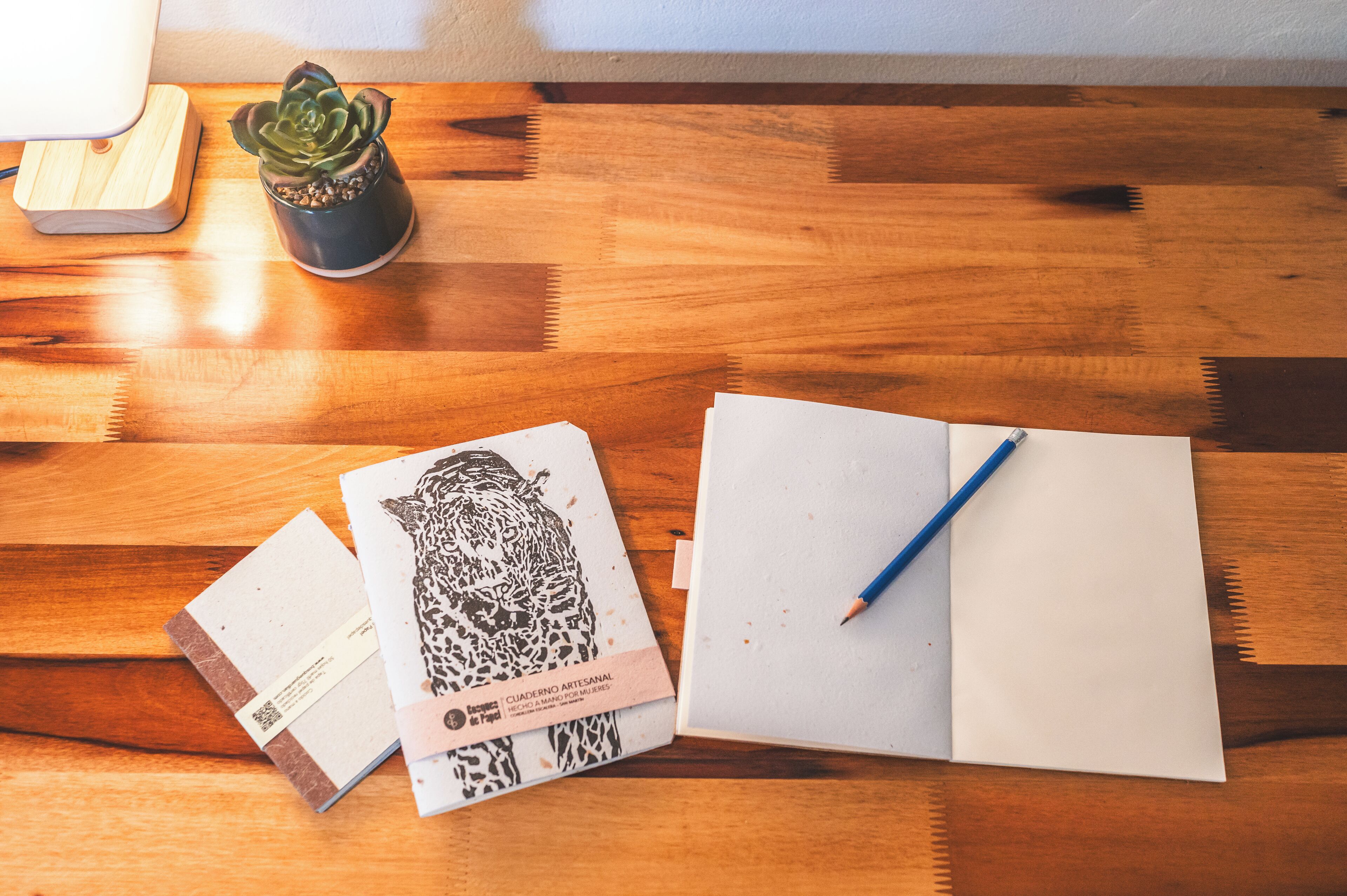 Una mesa de madera con un cuaderno, un lápiz, una planta en maceta y un pequeño dispositivo electrónico.