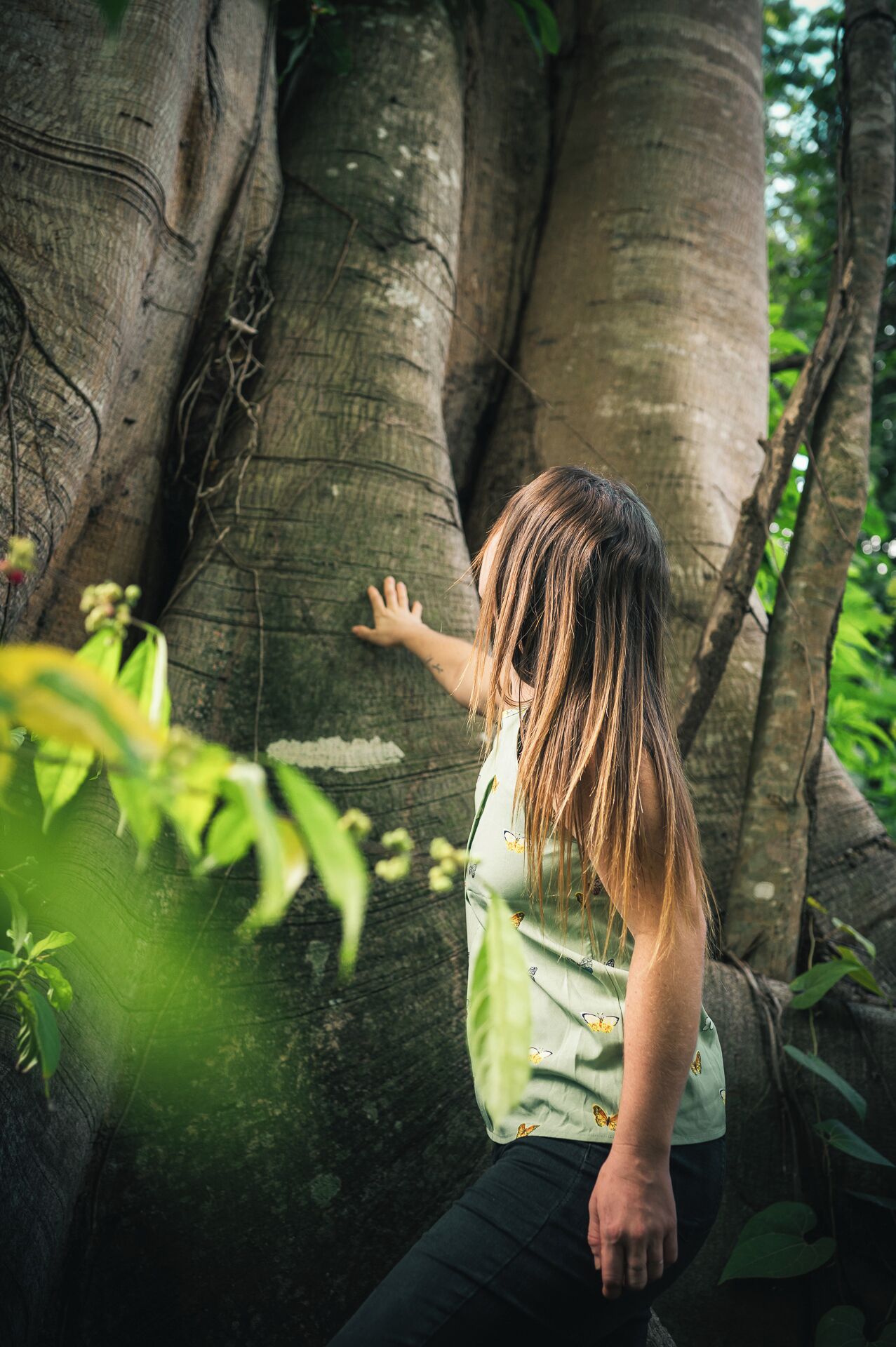 Photo - Taki Tambo Lodge