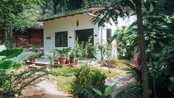 A small house surrounded by lush greenery, with a thatched roof and potted plants.