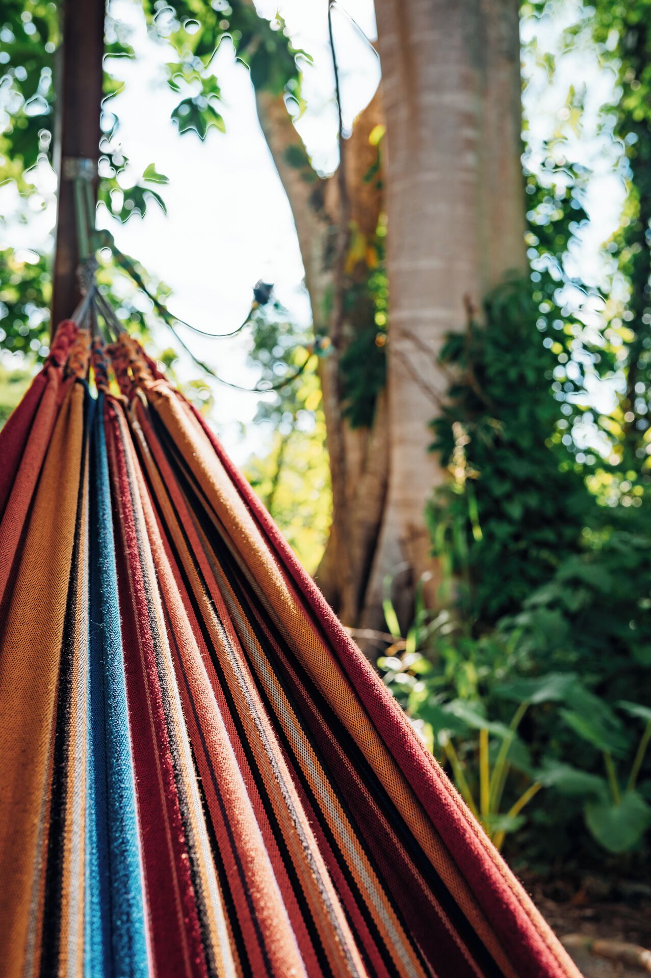 Single Room, Garden View | Terrace/patio
