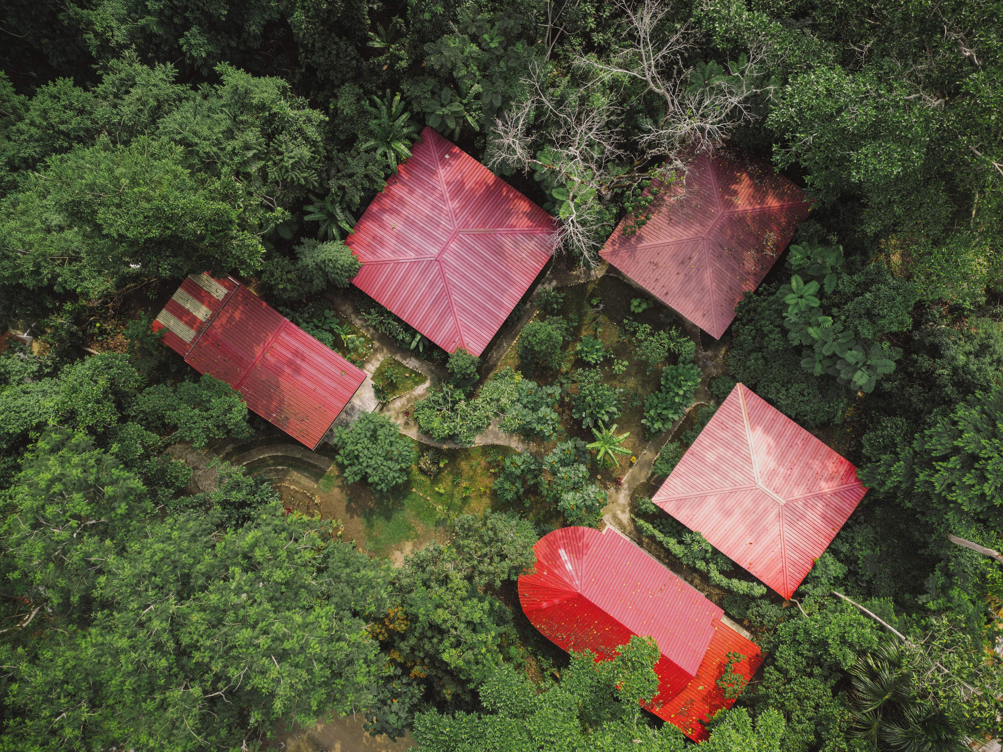 Vista aérea de una propiedad con cuatro edificios de techo rojo rodeados de abundante vegetación.