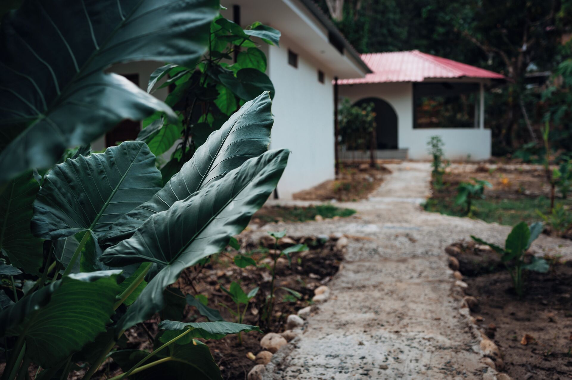 Photo - Taki Tambo Lodge