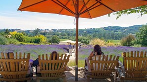 Three wooden chairs under an orange umbrella, overlooking a field of purple flowers. - Santa Rosa Stonehouse Private Wine Country Retreat (Santa Rosa)
