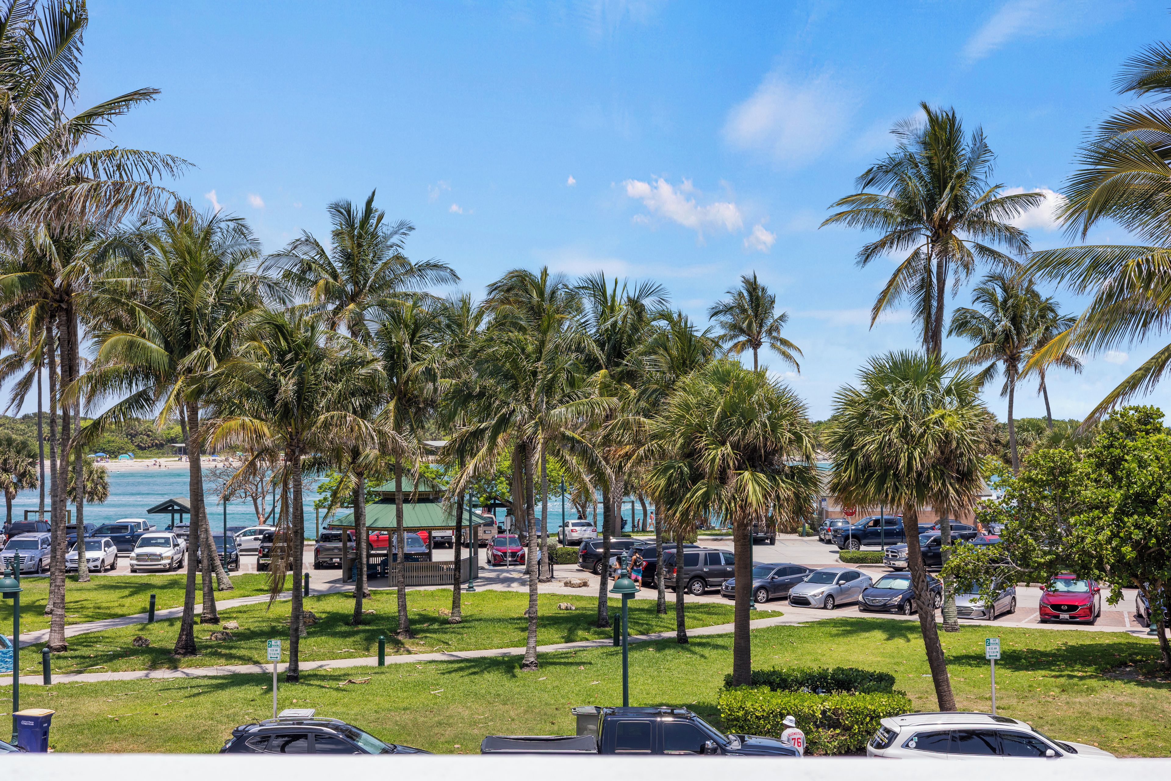 A parking lot with several cars, palm trees, and a view of the beach.