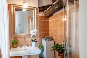 Shower, hair dryer, bidet, towels