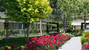 Ein Garten mit roten Blumen, grünen Bäumen und einem Pfad.