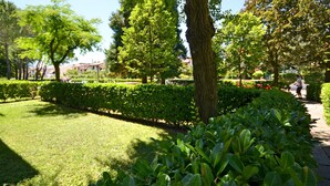 Un jardin bien entretenu, avec des haies soigneusement taillées, une variété d’arbres et un chemin bien dégagé.