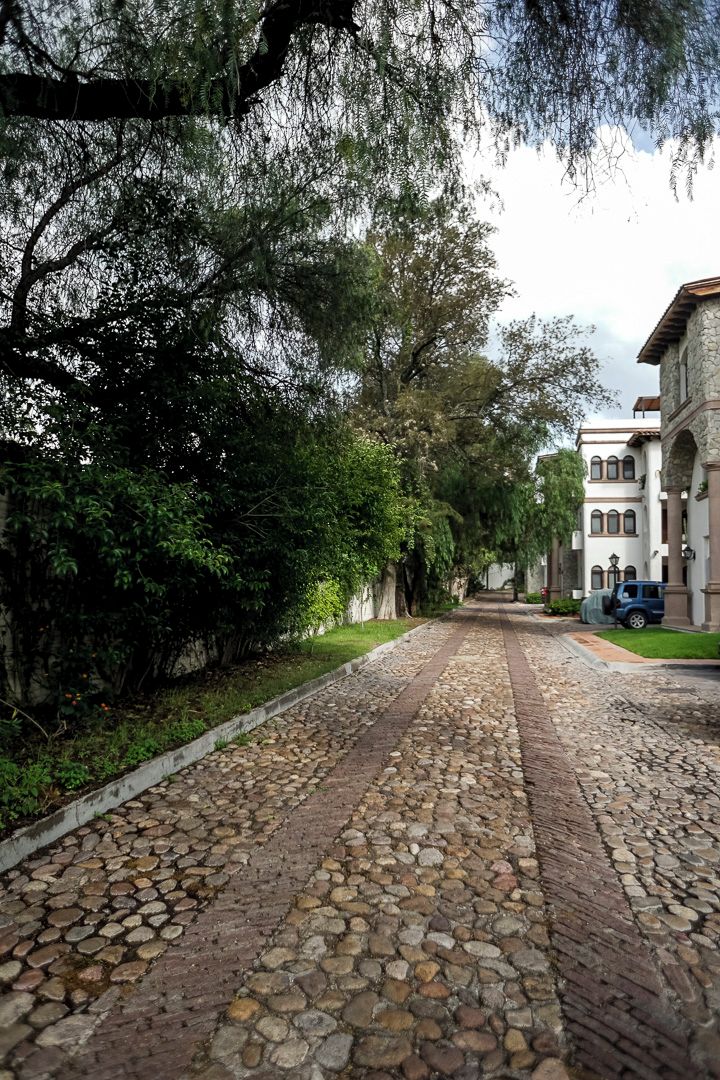 A cobblestone pathway leading to a building with a stone facade and arched windows.