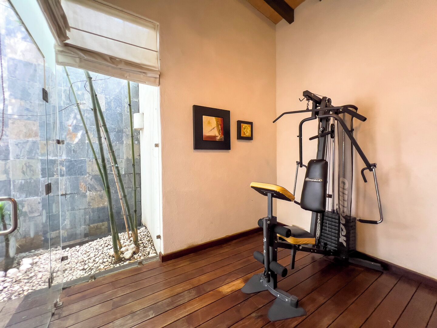 A gym with a wooden floor, a wall-mounted exercise machine, and a glass door leading to an outdoor area with bamboo plants.