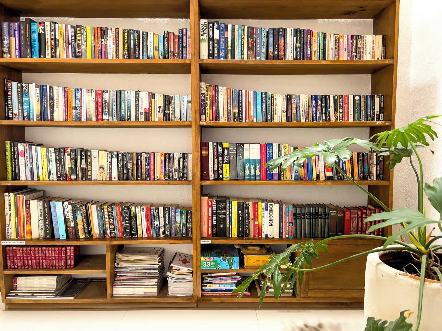 A bookshelf filled with various books, a potted plant, and magazines.