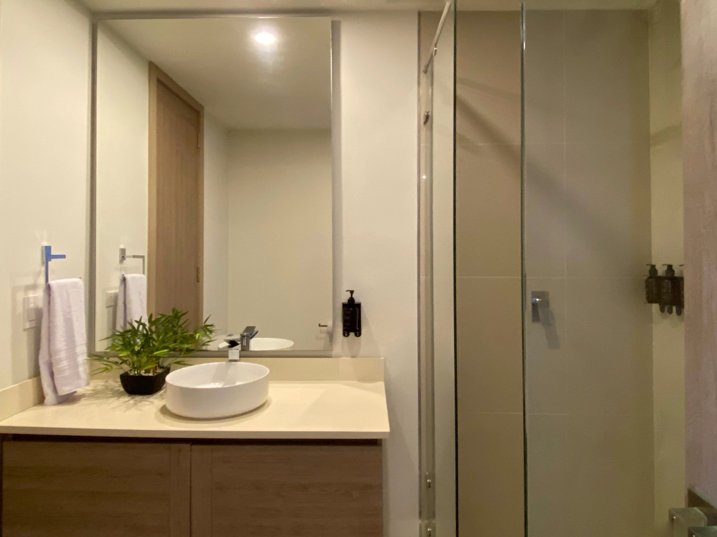 A modern bathroom with a glass shower enclosure, a white sink with a round basin, and a potted plant on the vanity.