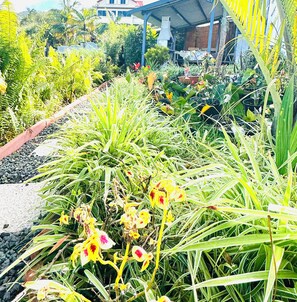 Un jardin avec différentes plantes et fleurs, un sentier et un bâtiment en arrière-plan.