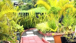 Een pad dat door een tuin slingert, met potplanten aan weerszijden.